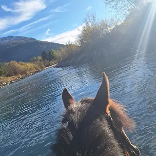 Vorschaubild Nr. 1 zu Reitbeteiligung in 3647 Reutigen