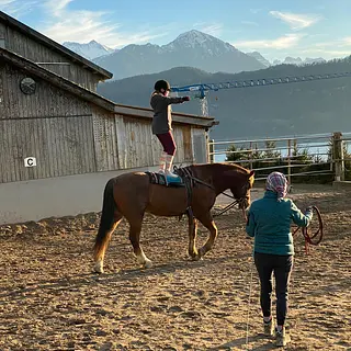 Vorschaubild Nr. 2 zu Reitbeteiligung in 6353 Weggis