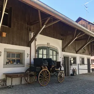 Vorschaubild Nr. 2 zu Reitbeteiligung in 4118 Rodersdorf