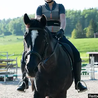 Vorschaubild Nr. 1 zu Reitbeteiligung in 8708 Männedorf