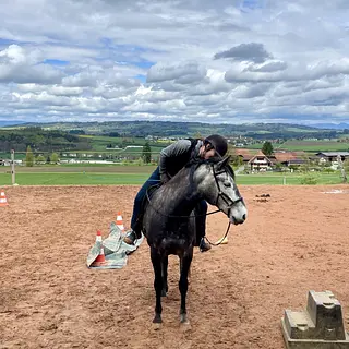 Vorschaubild Nr. 2 zu Reitbeteiligung in 3019 Bern