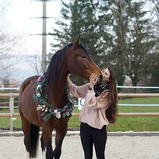 Vorschaubild Nr. 2 zu Reitbeteiligung in 5512 Wohlenschwil