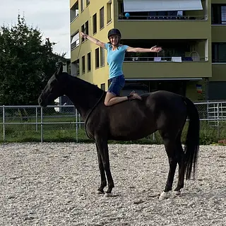 Vorschaubild Nr. 1 zu Reitbeteiligung in 6340 Baar