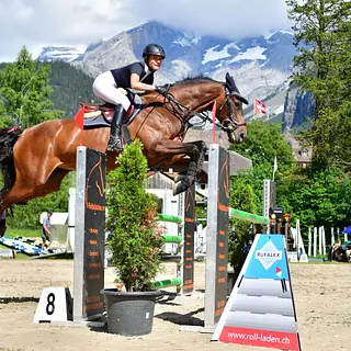 Vorschaubild Nr. 1 zu Reitbeteiligung in 3014 Bern