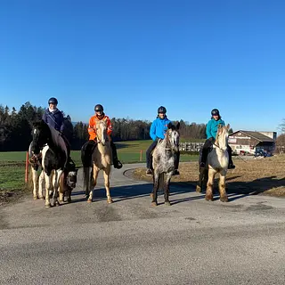 Vorschaubild Nr. 2 zu Reitbeteiligung in 8932 Mettmenstetten