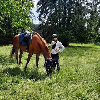 Vorschaubild Nr. 1 zu Reitbeteiligung in 4058 Basel