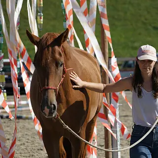 Vorschaubild Nr. 2 zu Reitbeteiligung in 4058 Basel
