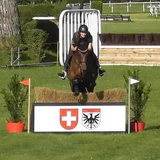 Vorschaubild Nr. 1 zu Reitbeteiligung in 5512 Wohlenschwil