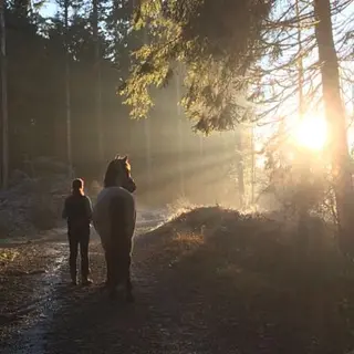Vorschaubild Nr. 2 zu Reitbeteiligung in 9205 Waldkirch