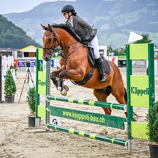 Vorschaubild Nr. 1 zu Reitbeteiligung in 6410 Goldau