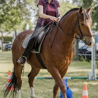 Vorschaubild Nr. 1 zu Reitbeteiligung in 3176 Neuenegg