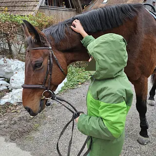 Vorschaubild Nr. 2 zu Reitbeteiligung in 3303 Jegenstorf