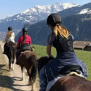 Vorschaubild Nr. 1 zu Reitbeteiligung in 7156 Rueun