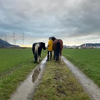 Vorschaubild Nr. 2 zu Reitbeteiligung in 8718 Schänis