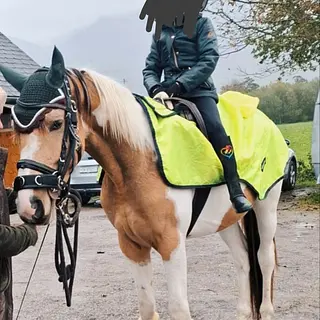 Vorschaubild Nr. 2 zu Reitbeteiligung in 8864 Reichenburg