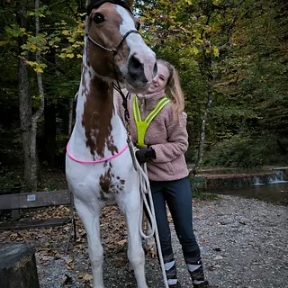 Vorschaubild Nr. 1 zu Reitbeteiligung in 8335 Hittnau