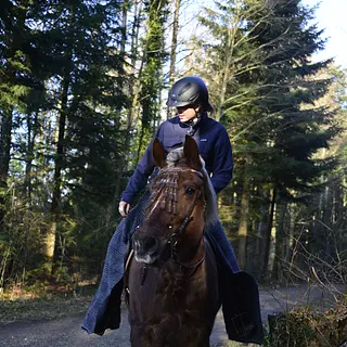Vorschaubild Nr. 2 zu Reitbeteiligung in 6032 Emmen