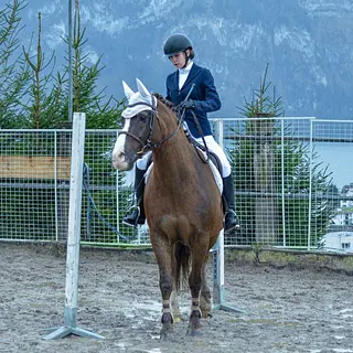 Vorschaubild Nr. 1 zu Reitbeteiligung in 6353 Weggis