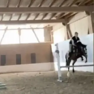 Vorschaubild Nr. 1 zu Reitbeteiligung in 9214 Kradolf