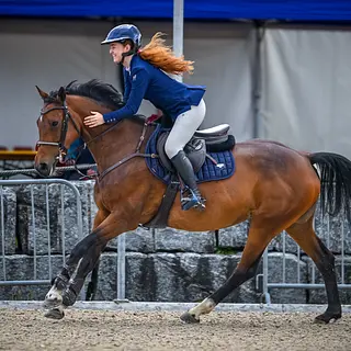Vorschaubild Nr. 2 zu Reitbeteiligung in 8320 Fehraltorf