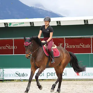 Vorschaubild Nr. 2 zu Reitbeteiligung in 3014 Bern