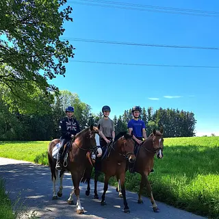Vorschaubild Nr. 2 zu Reitbeteiligung in 9562 Märwil