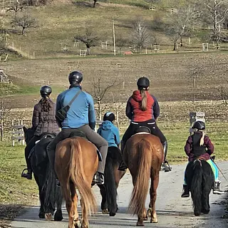 Vorschaubild Nr. 1 zu Reitbeteiligung in 8340 Hinwil