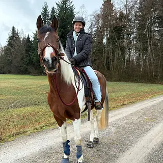 Vorschaubild Nr. 2 zu Reitbeteiligung in 8340 Hinwil