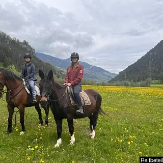 Vorschaubild Nr. 1 zu Reitbeteiligung in 7156 Rueun