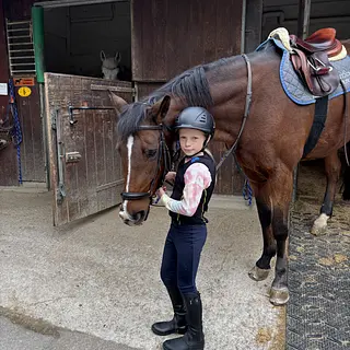 Vorschaubild Nr. 1 zu Reitbeteiligung in 8002 Zürich