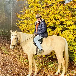 Vorschaubild Nr. 2 zu Reitbeteiligung in 5316 Leuggern
