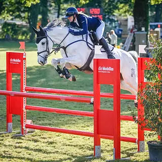 Vorschaubild Nr. 1 zu Reitbeteiligung in 5506 Mägenwil