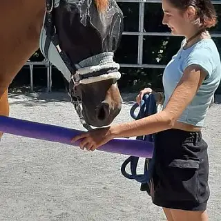 Vorschaubild Nr. 1 zu Reitbeteiligung in 8717 Benken SG
