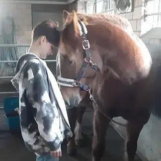 Vorschaubild Nr. 2 zu Reitbeteiligung in 8717 Benken SG