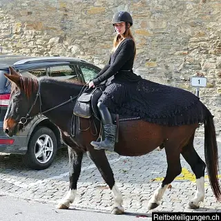 Vorschaubild Nr. 2 zu Reitbeteiligung in 7156 Rueun