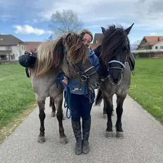 Vorschaubild Nr. 1 zu Reitbeteiligung in 6025 Neudorf