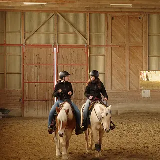 Vorschaubild Nr. 2 zu Reitbeteiligung in 1715 Alterswil FR