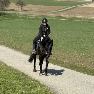 Vorschaubild Nr. 2 zu Reitbeteiligung in 8543 Bertschikon