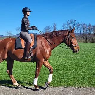 Vorschaubild Nr. 1 zu Reitbeteiligung in 6332 Hagendorn