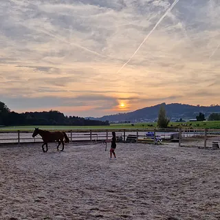 Vorschaubild Nr. 2 zu Reitbeteiligung in 9527 Niederhelfenschwil