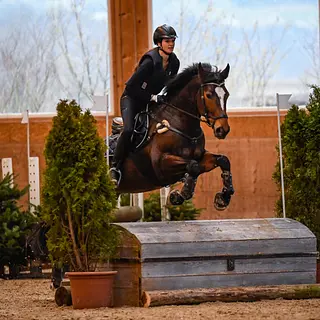 Vorschaubild Nr. 1 zu Reitbeteiligung in 8599 Salmsach