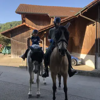 Vorschaubild Nr. 2 zu Reitbeteiligung in 4208 Nunningen
