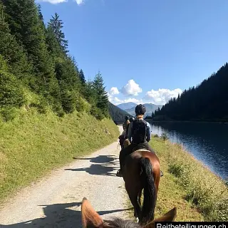 Vorschaubild Nr. 1 zu Reitbeteiligung in 7156 Rueun