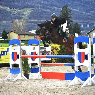 Vorschaubild Nr. 1 zu Reitbeteiligung in 3608 Thun