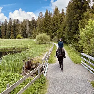 Vorschaubild Nr. 2 zu Reitbeteiligung in 3673 Linden