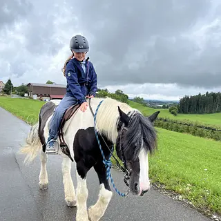 Vorschaubild Nr. 1 zu Reitbeteiligung in 9312 Häggenschwil