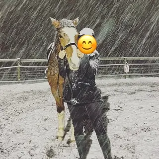 Vorschaubild Nr. 1 zu Reitbeteiligung in 5044 Schlossrued