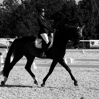 Vorschaubild Nr. 2 zu Reitbeteiligung in 8181 Höri