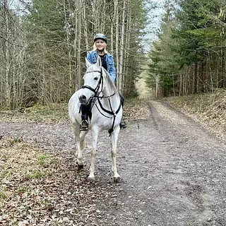 Vorschaubild Nr. 2 zu Reitbeteiligung in 3634 Thierachern