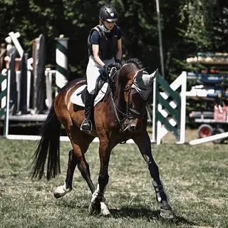 Vorschaubild Nr. 1 zu Reitbeteiligung in 8181 Höri